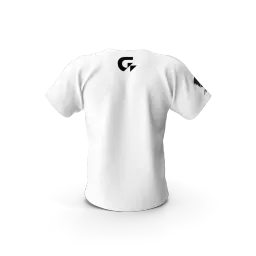 Gigabyte Aorus Men Tshirt